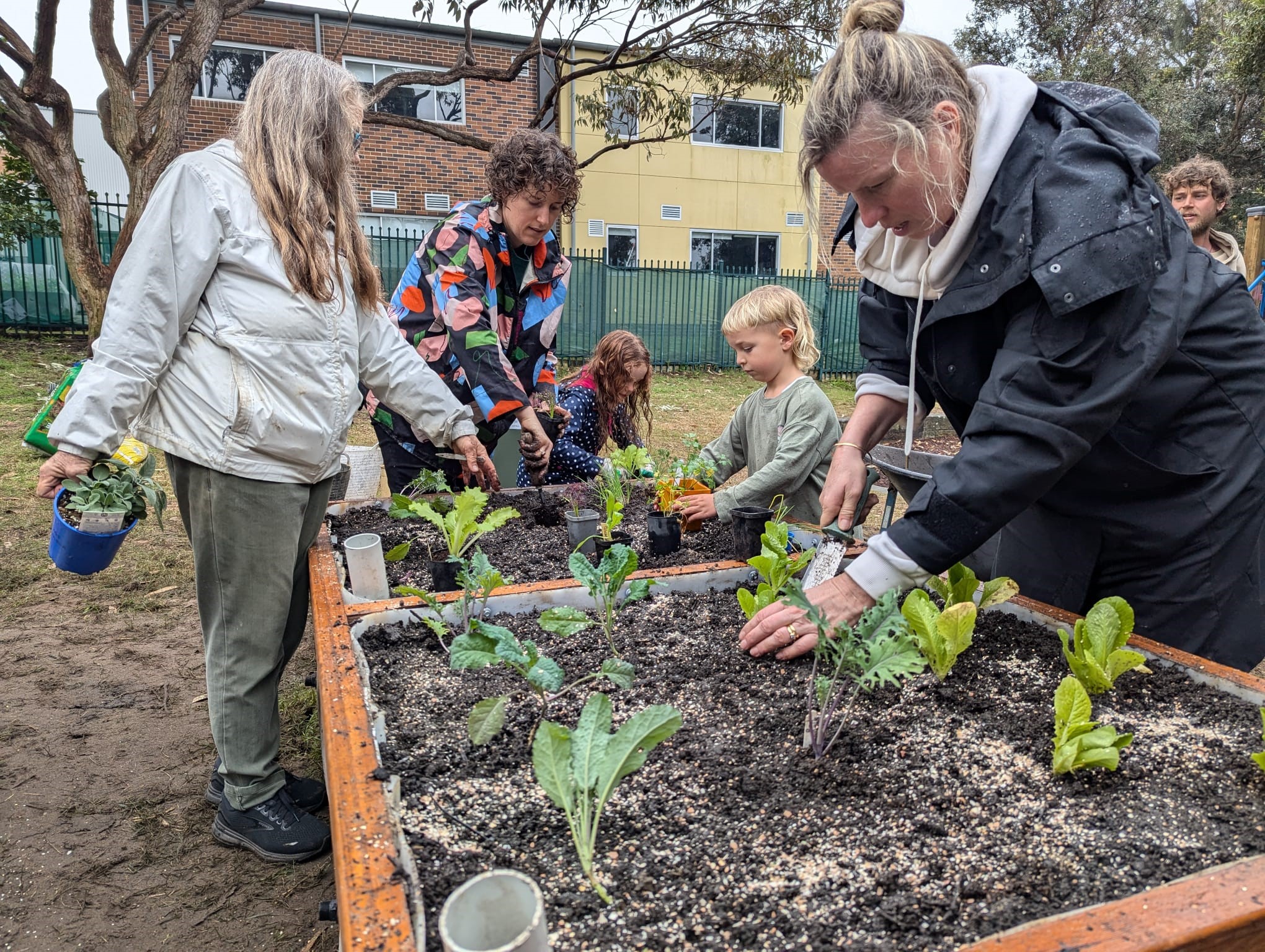 working on the veggie patches at wairoa reserve