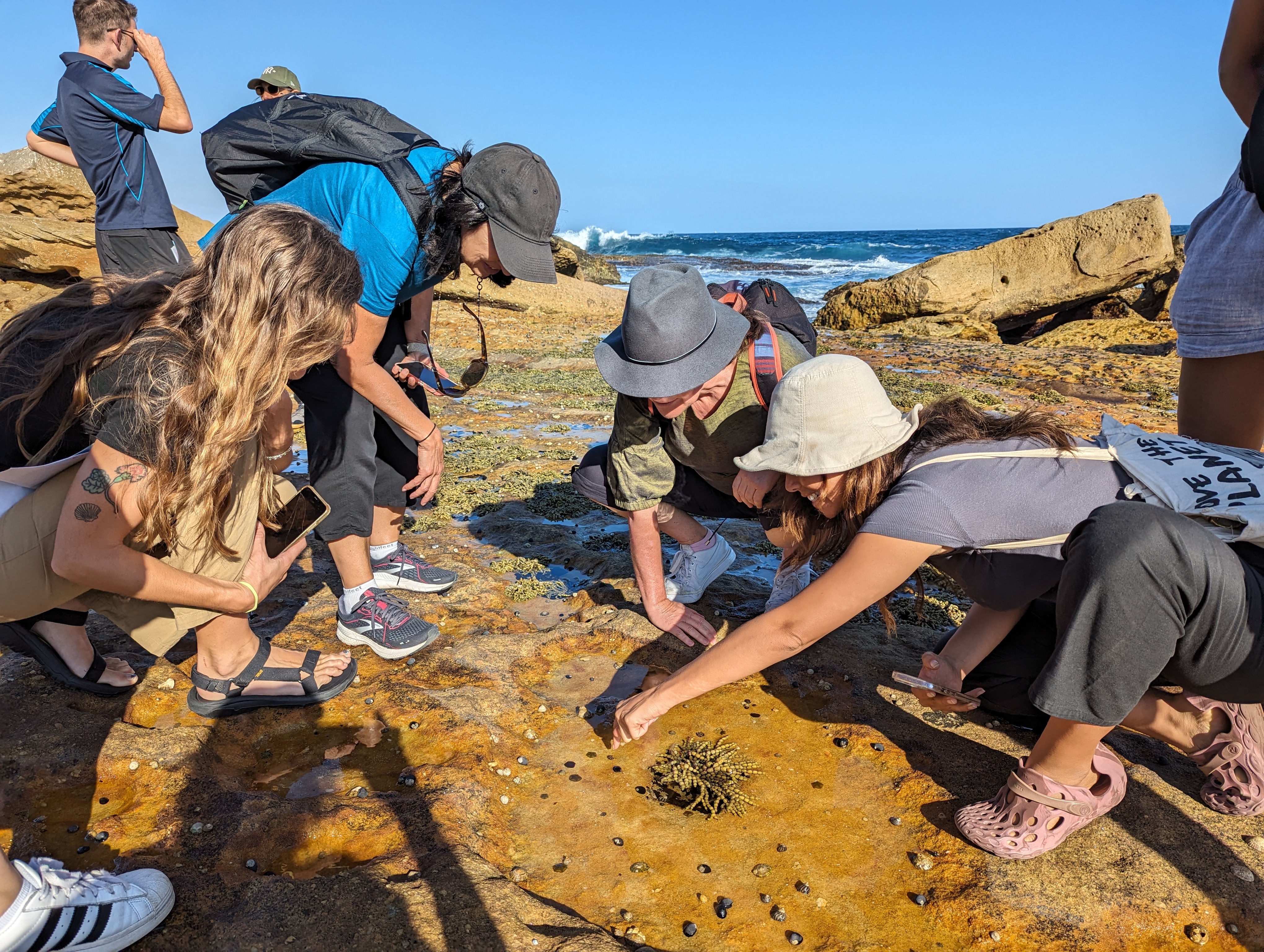 Group undertaking a rockpool ramble at Bondi