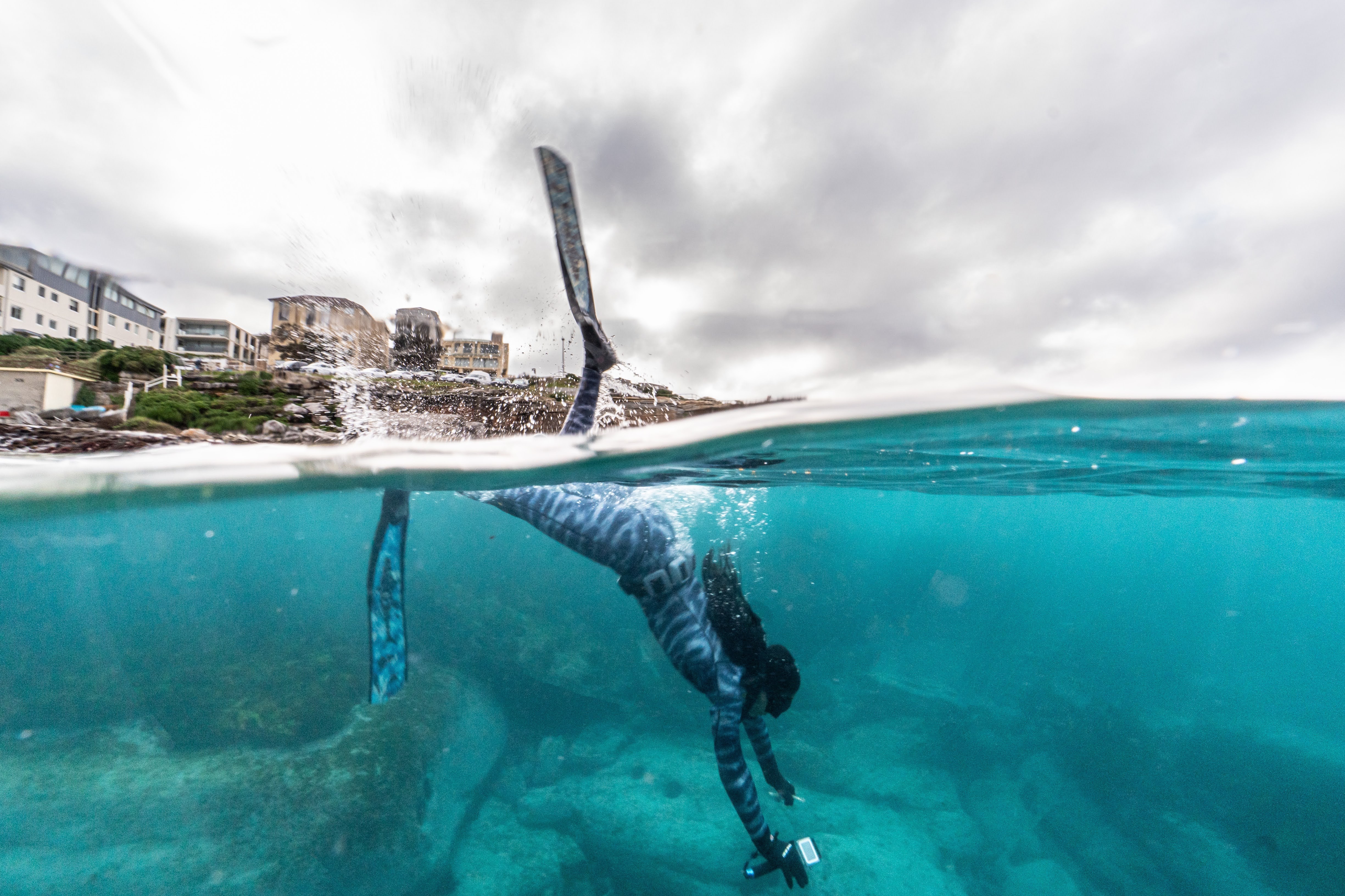 diver in bondi