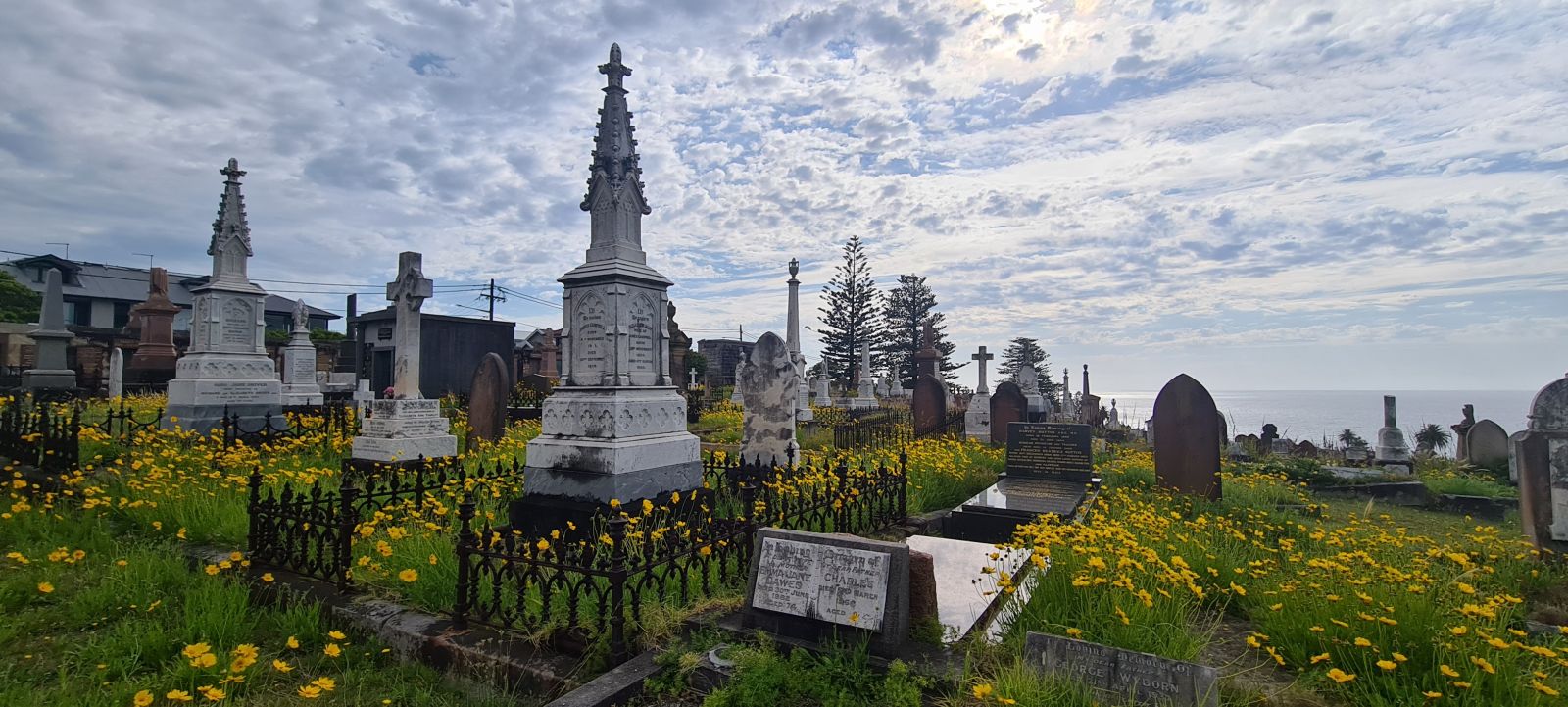 Cemetery with yellow wild flowers banner image