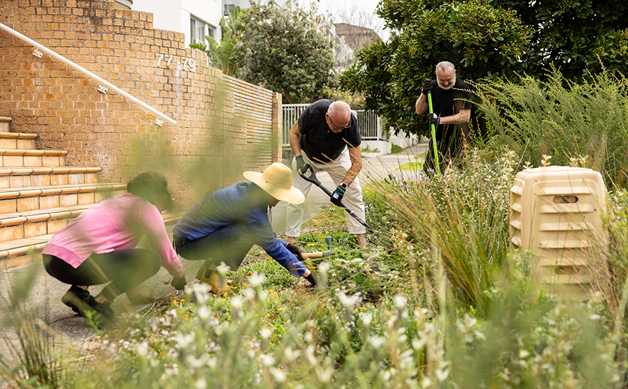 Shared gardens 