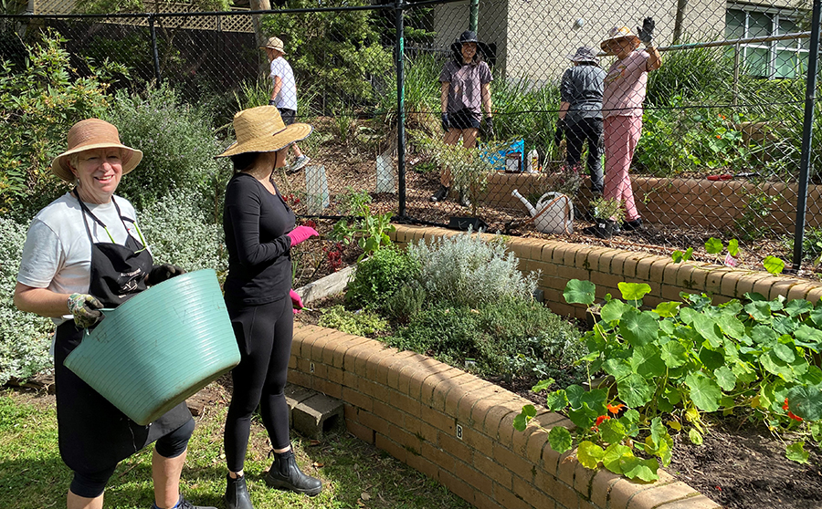 Waverley Community Garden 