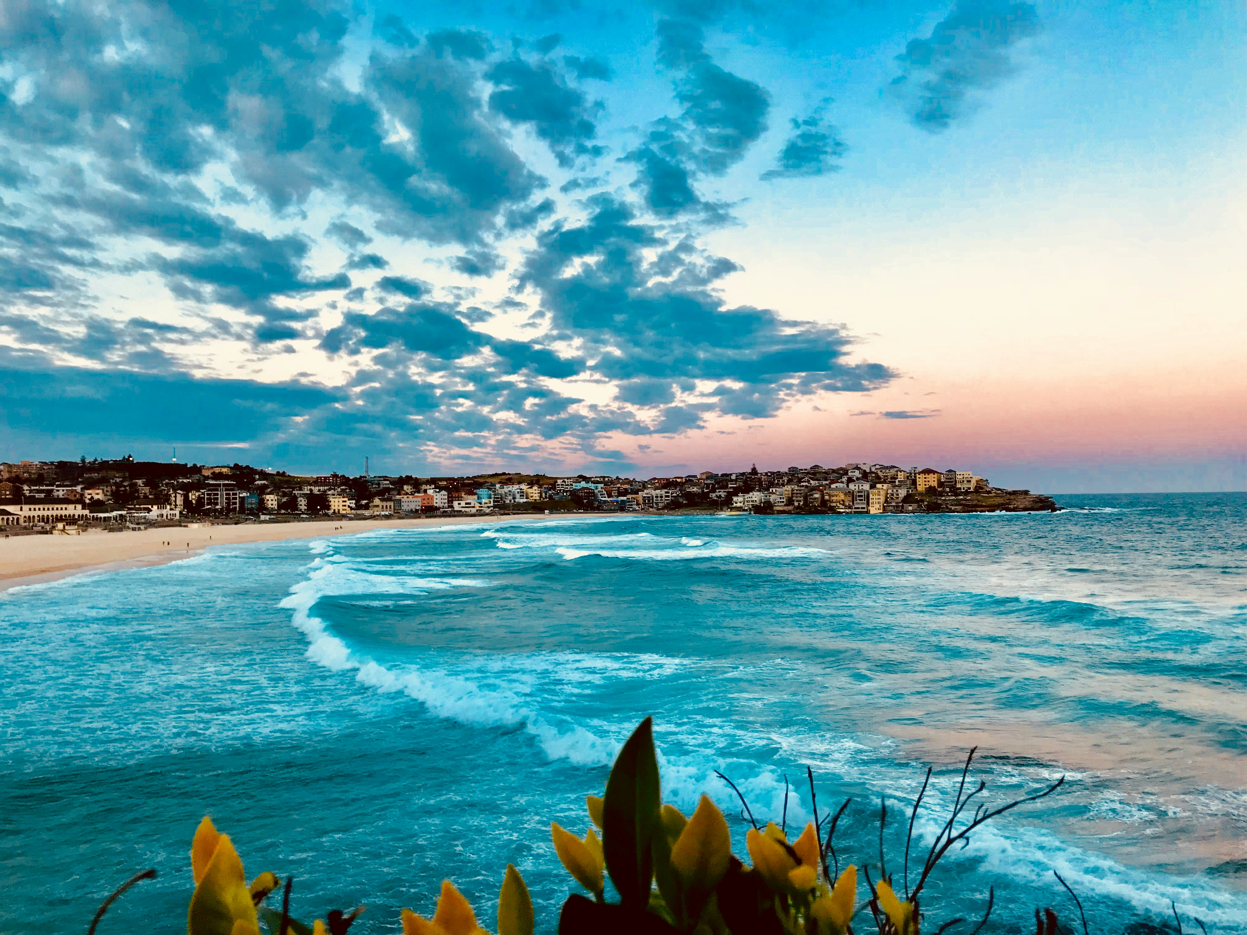 Bondi beach by Photo by Azucena Stelzer