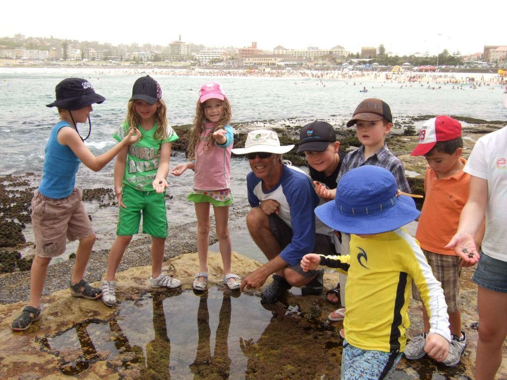 Kids on rockpool tour