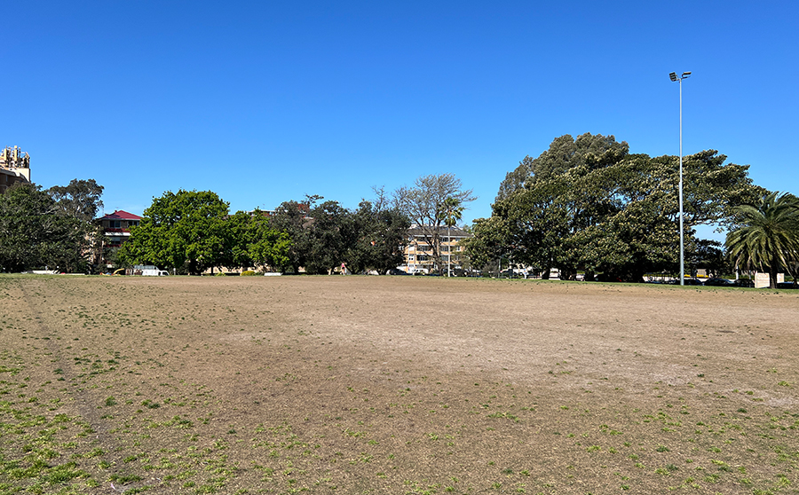 Waverley Park field