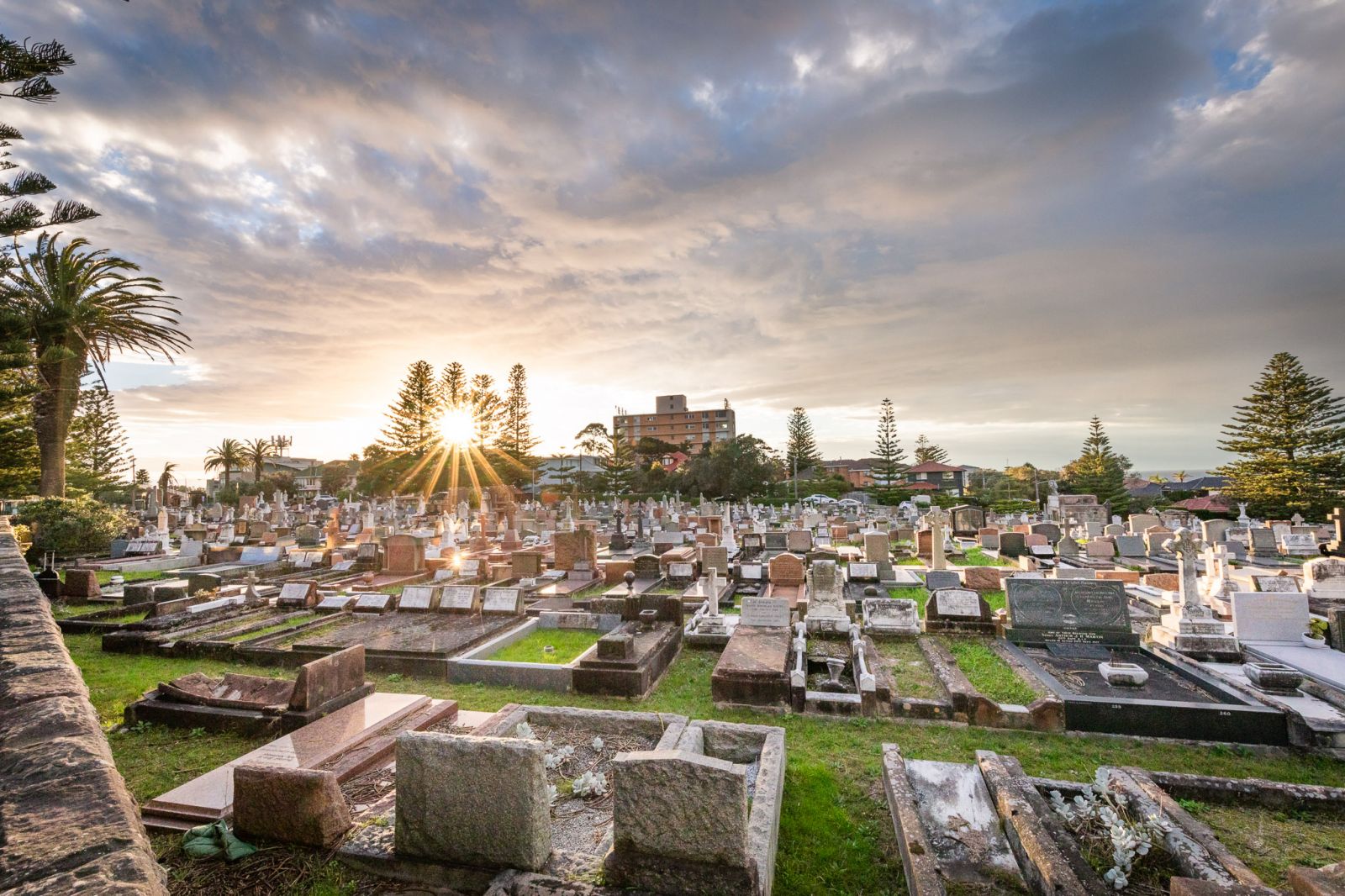 South Head Cemetery banner image