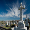 Waverley Cemetery Tour  thumbnail