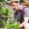 Wild edible foraging workshop with Diego Bonetto thumbnail