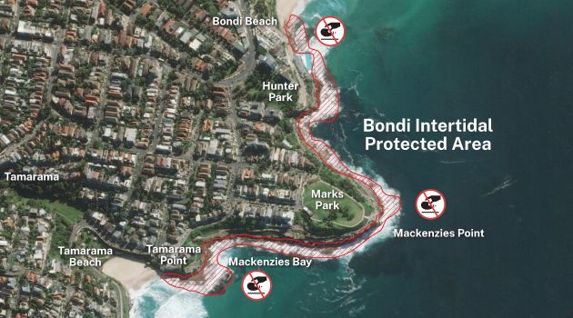 Bondi Intertidal Protected Area map 